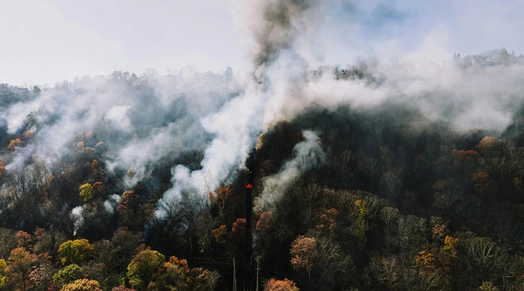 How Fast Can Wildfires Spread How Wildfires Start And Spread Molekule
