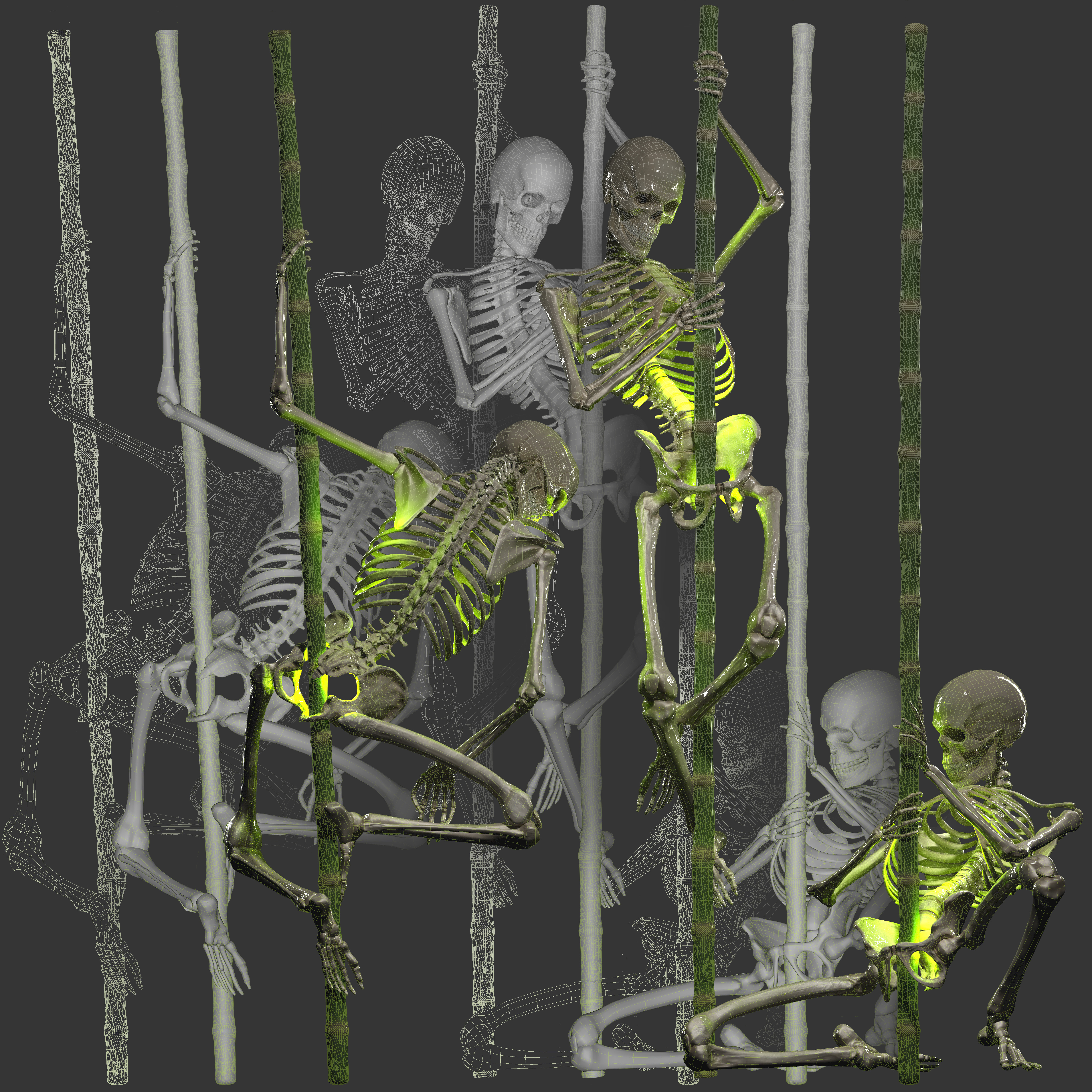 Bamboo Wireframes Compo