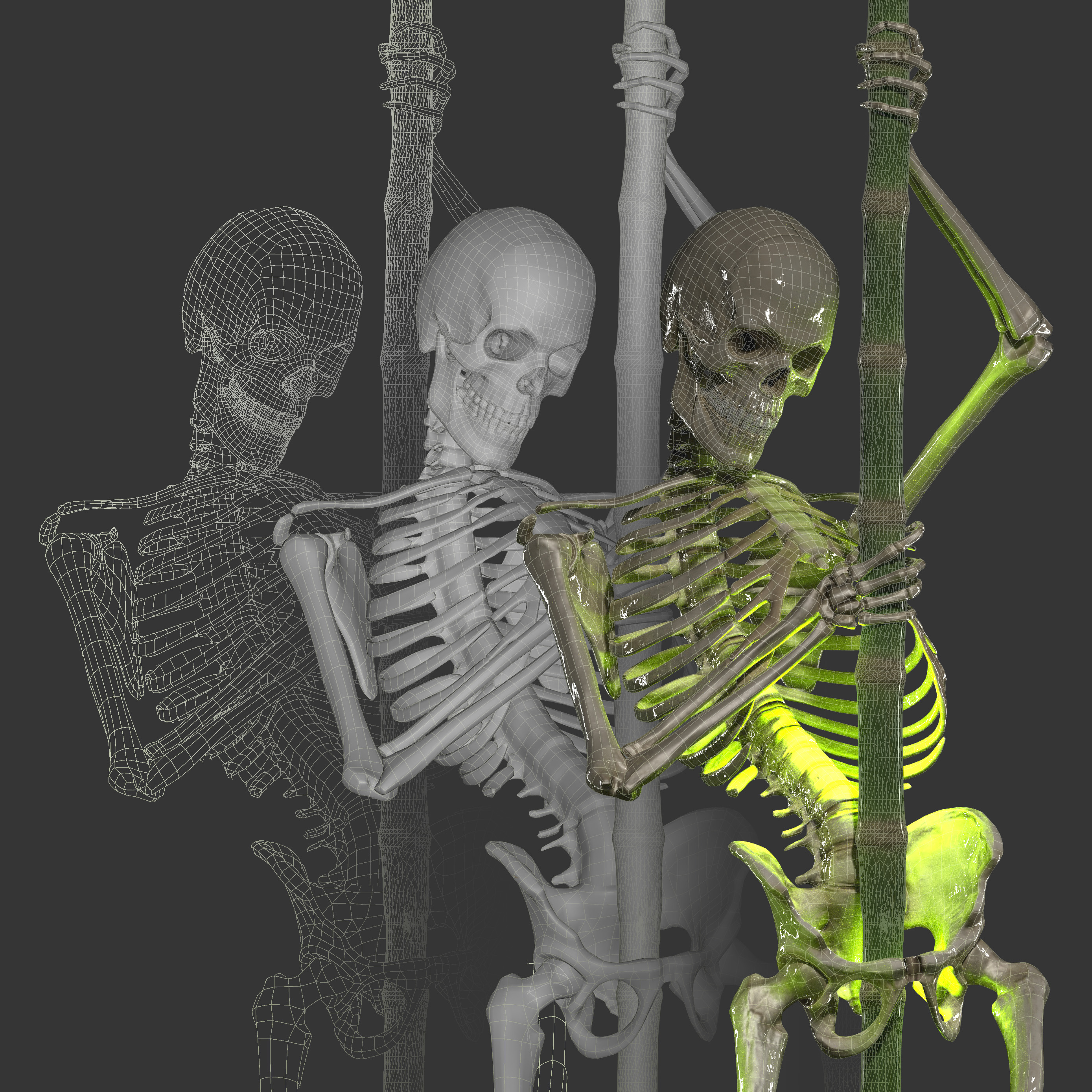 Bamboo Wireframes DOS