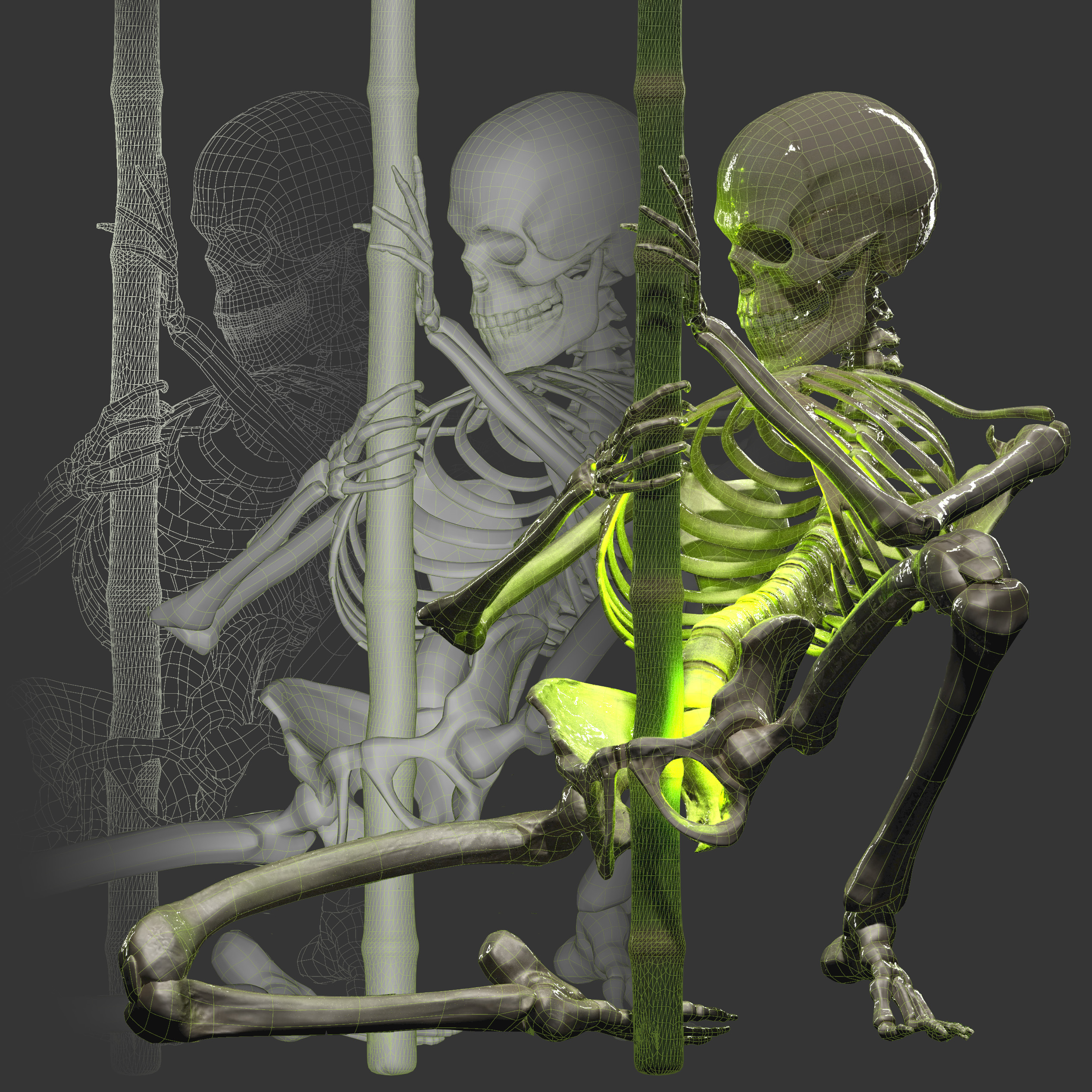 Bamboo Wireframes TRES