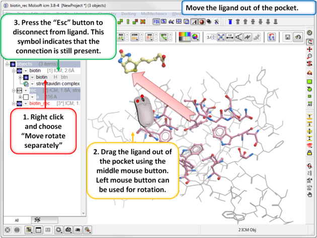 Icm User S Guide Ligand Docking Tutorials - City Backgrounds - Creative High Resolution Collection