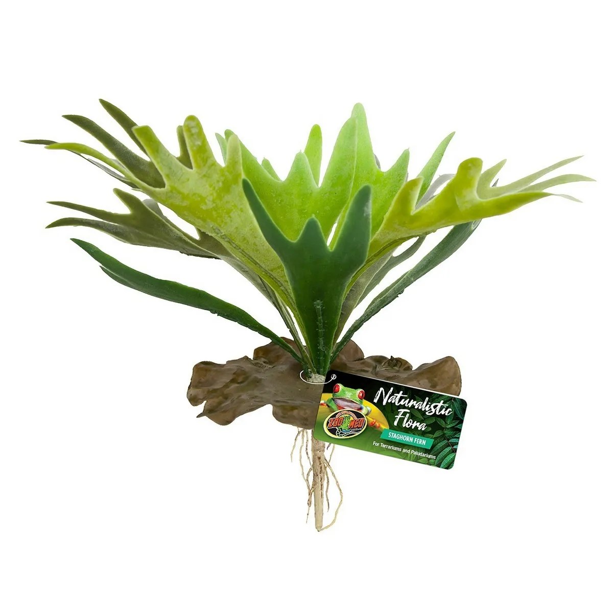 ZOOMED NATURALISTIC FLORA STAGHORN FERN