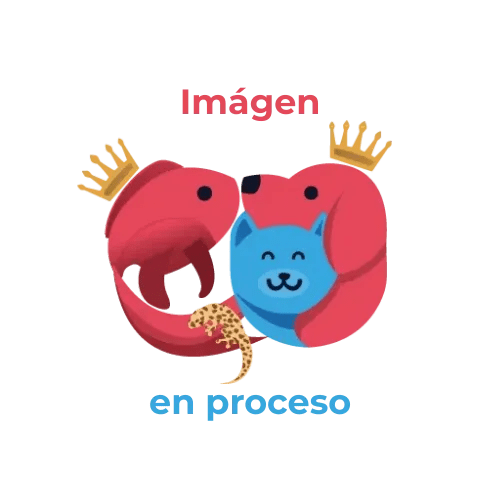 Esperando la imagen de producto
