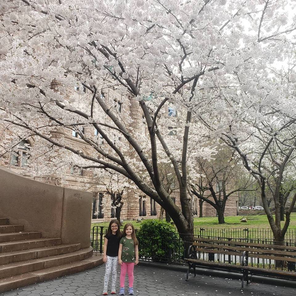 amnh