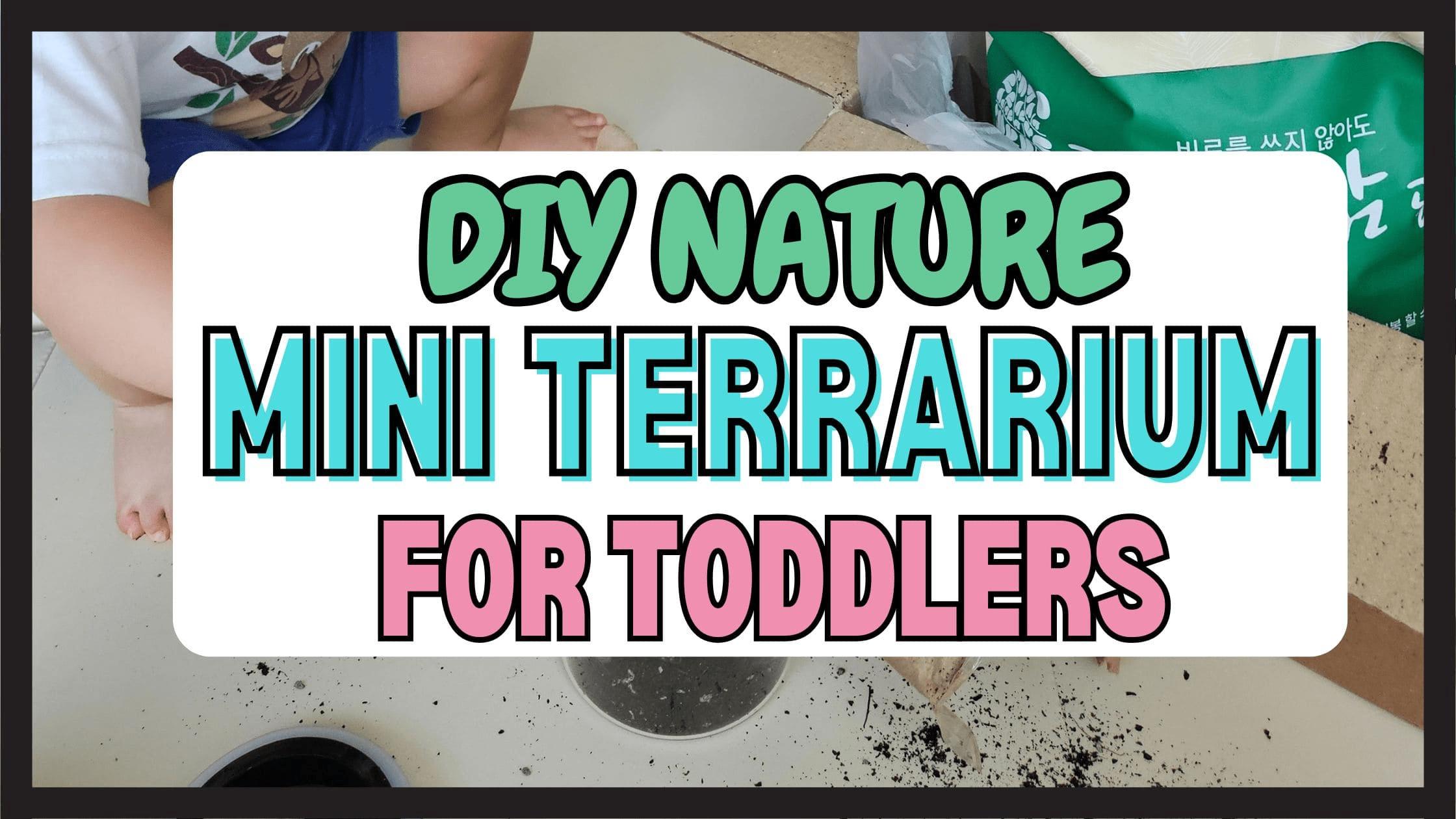 Diy Mini Terrarium Header Text