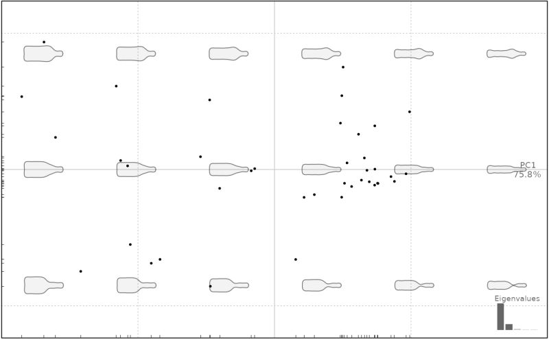Plots Principal Component Analysis Plot Pca Momocs - Nature Wallpapers - Incredible 8K Collection