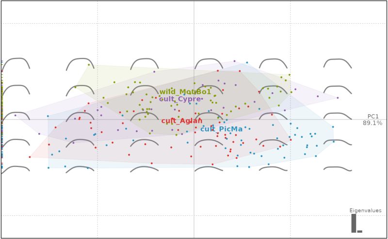 Plots Principal Component Analysis Plot Pca Momocs - Premium Light Photo Gallery - Full HD