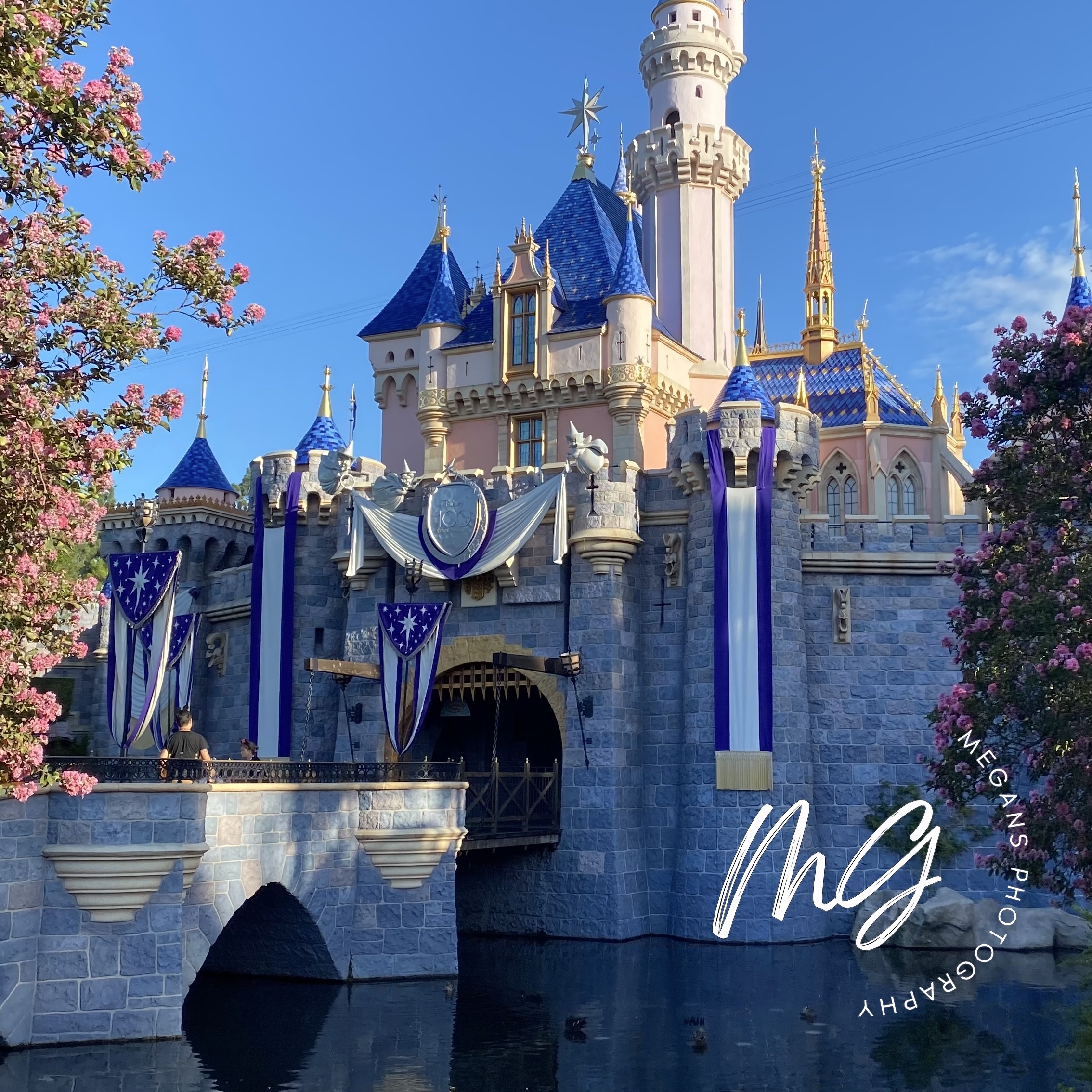 Disneyland
