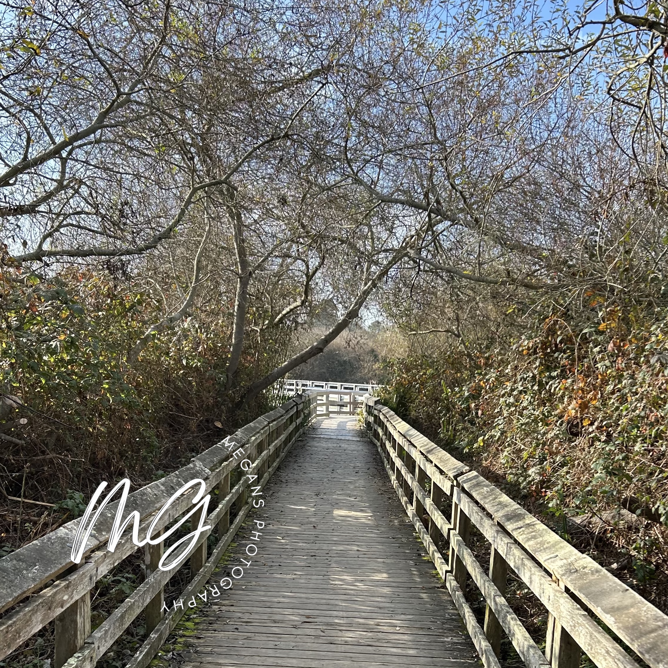 Neary Lagoon Pier