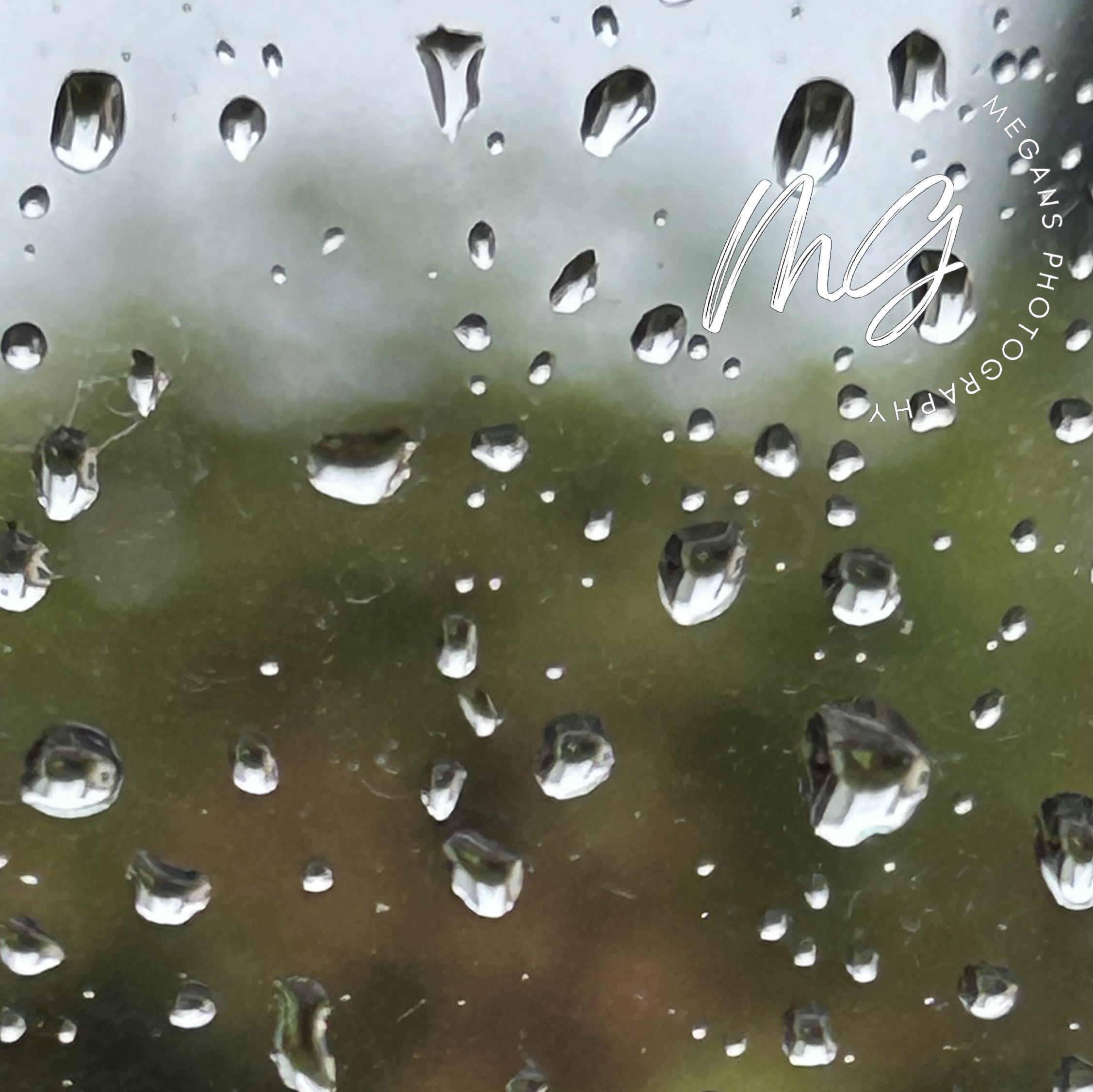 Spring Rainy Days
