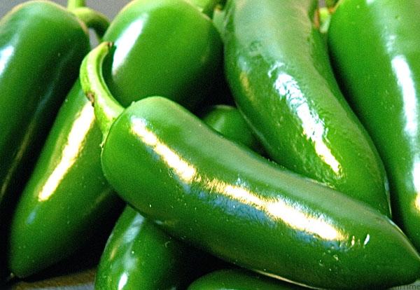El 25 de noviembre se celebra el thanksgiving o el día de acción de gracias en estados unidos (eu), en el cual se conmemora el agradecimiento a dios por parte de peregrinos y … MÃ©xico ocupa el segundo lugar en producciÃ³n de chile verde