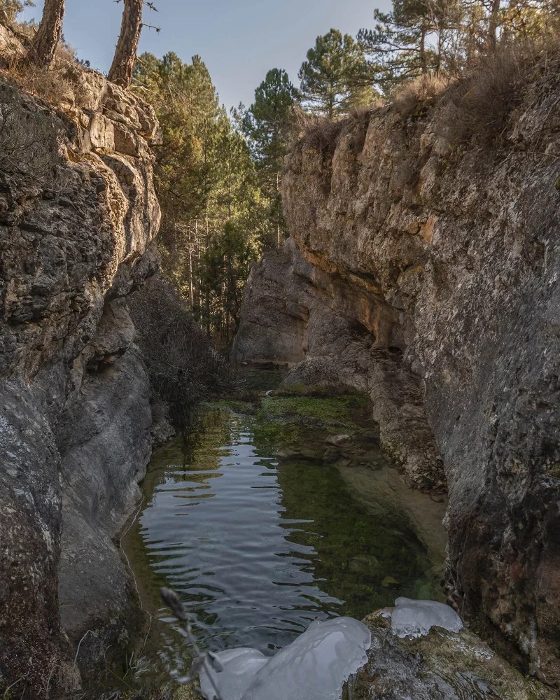 Jabaloyas, LXV. Reg. 44, fol. 238. 14 agosto 1285