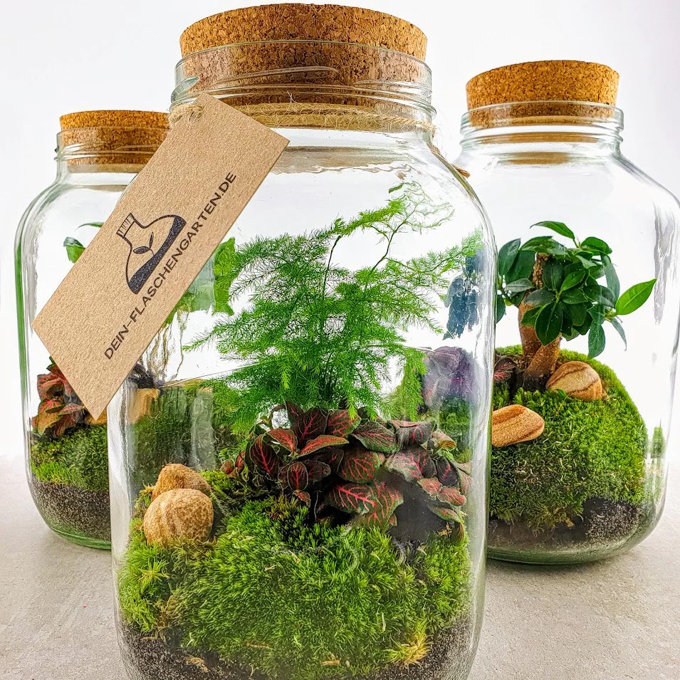 Dein Flaschengarten