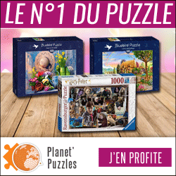 Puzzle FR