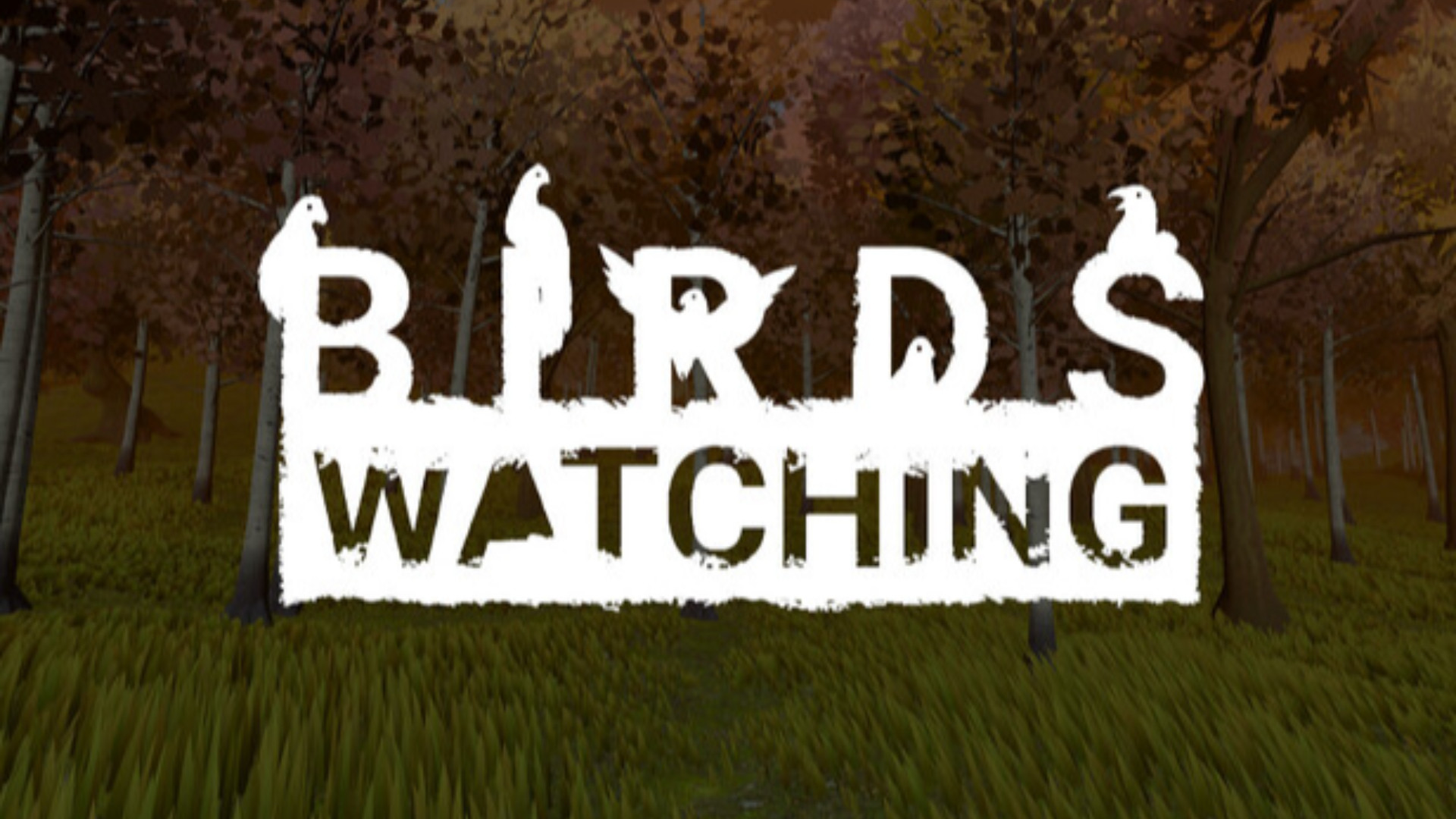Birds Watching sarà rilasciato su Nintendo Switch settimana prossima