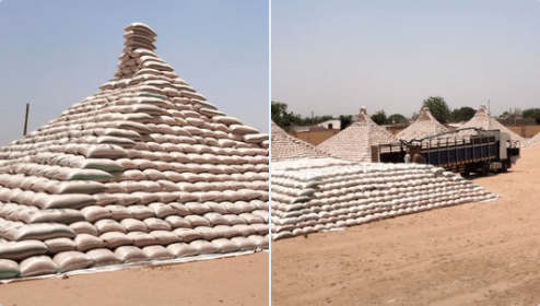 CBN Unveils First Maize Pyramids, Flags-Off 2021 Maize Wet Season ...