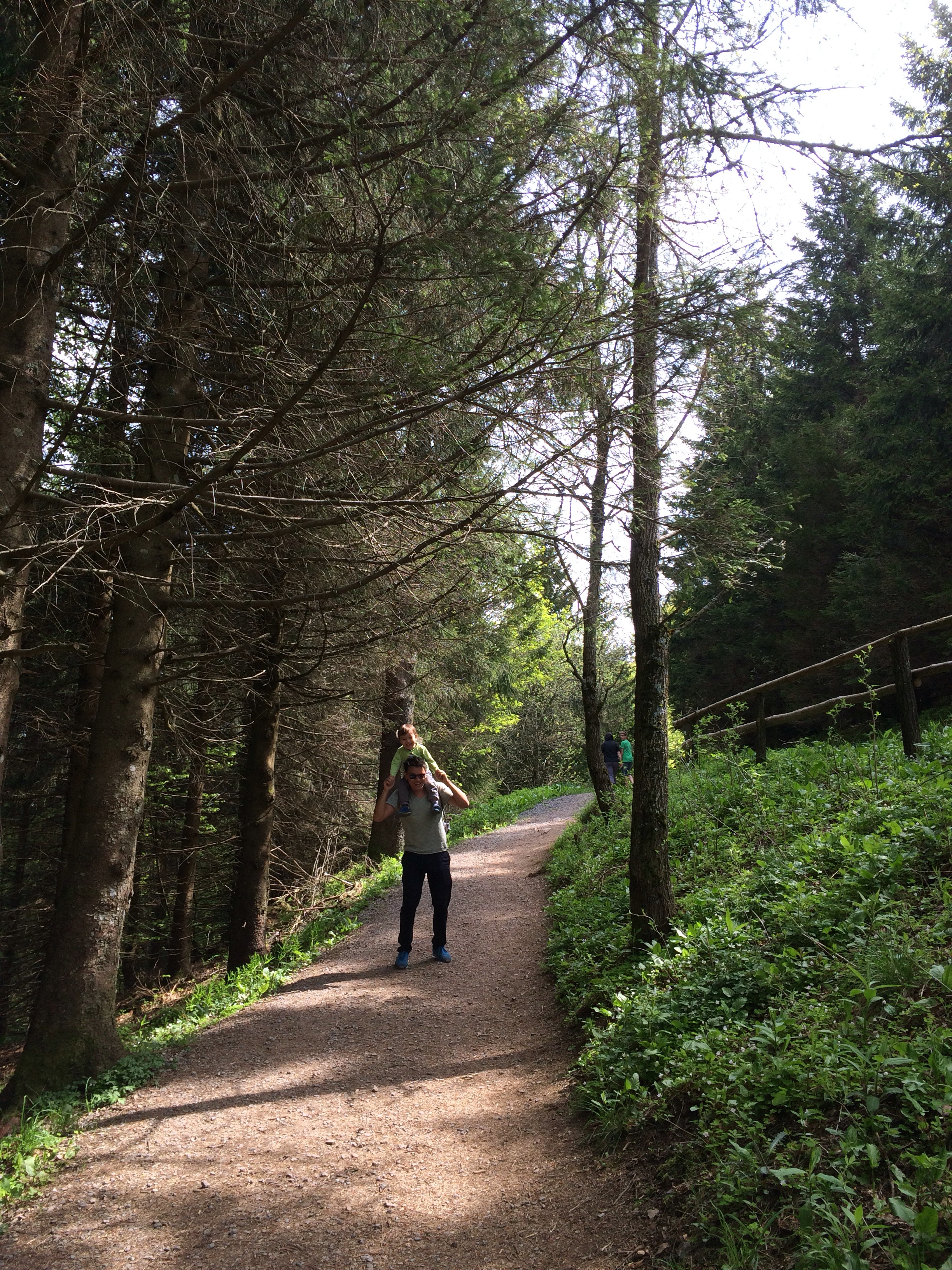 Krottenau Garten Denzlingen Badische Zeitung Ticket