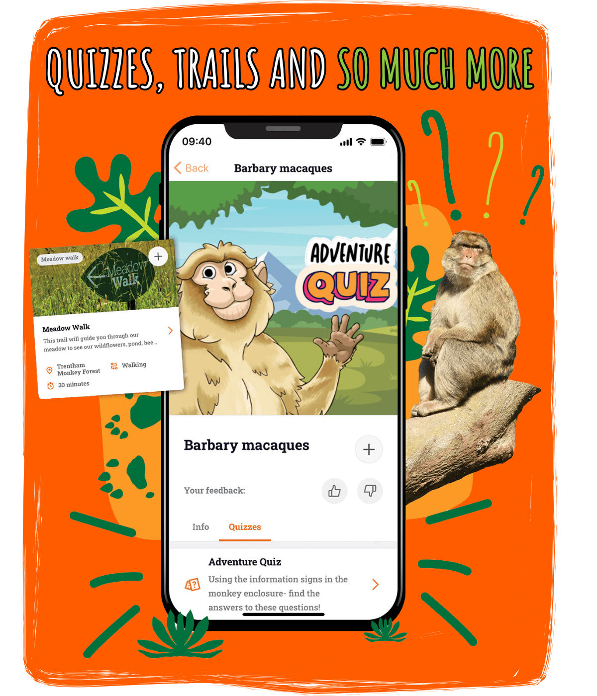 Monkey Forest App - 4K City Arts for Desktop