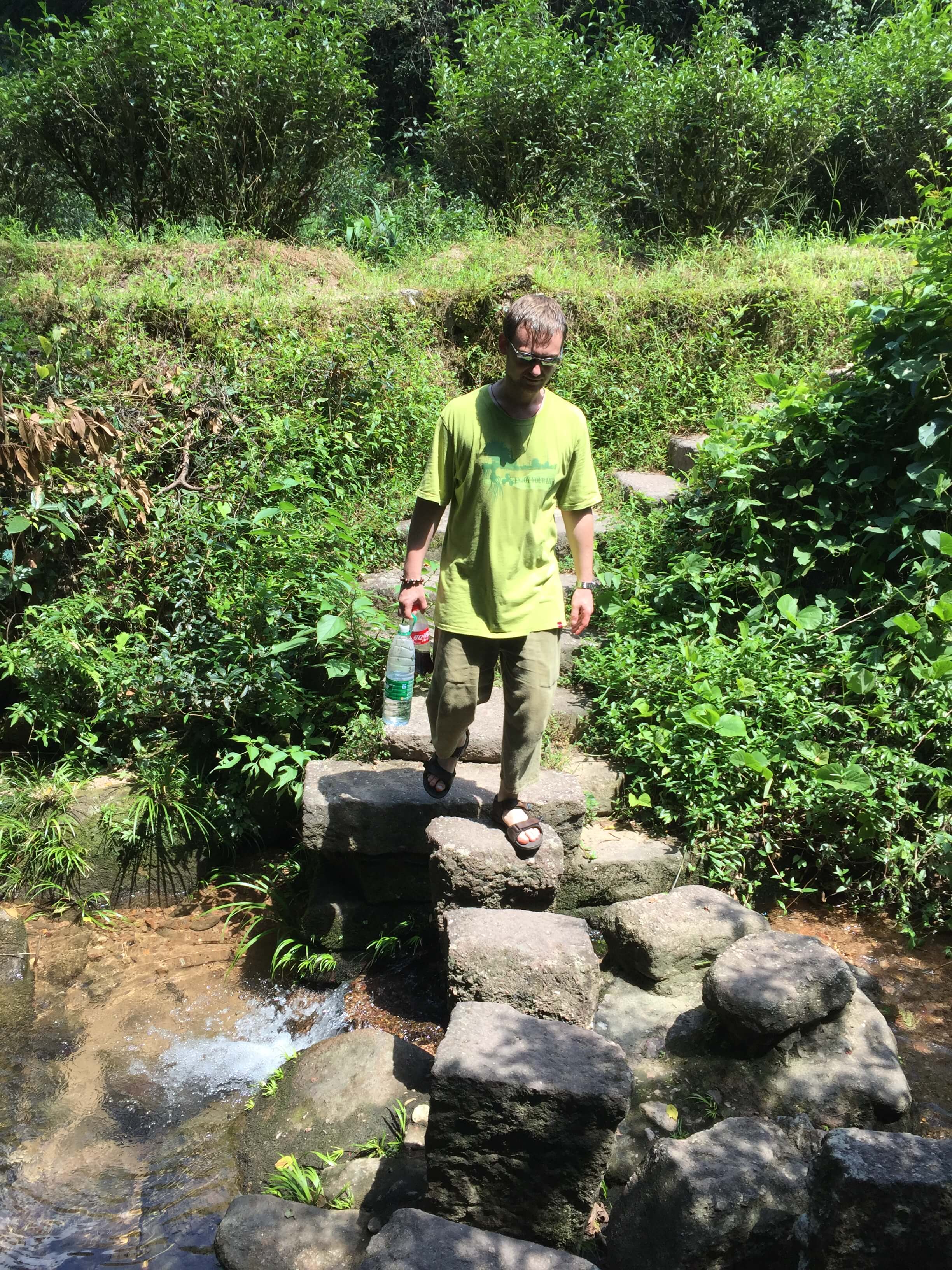 wuyi mountain tea trails
