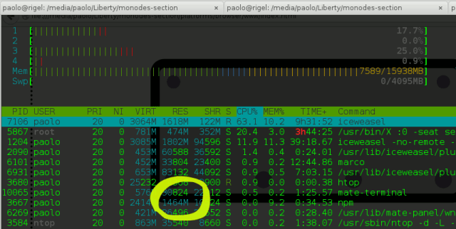 npm-huge-allocation