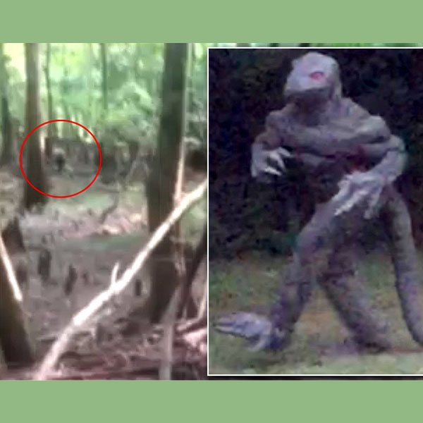 Lizard man