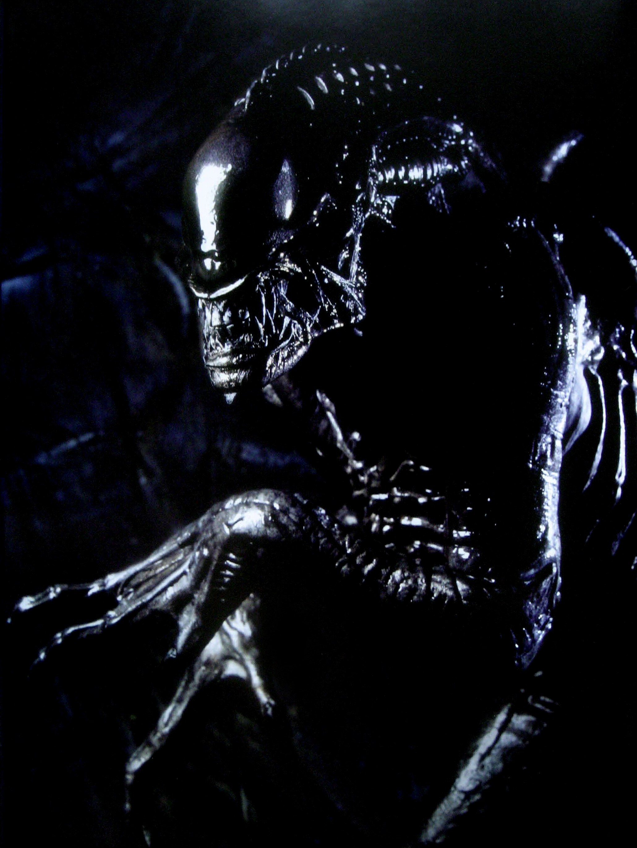 Alien vs predator avp requiem figure of predalien, 1/16 scale size approx.16cm. Aliens Vs Predator Requiem Monster Legacy