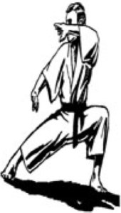 learn martial arts