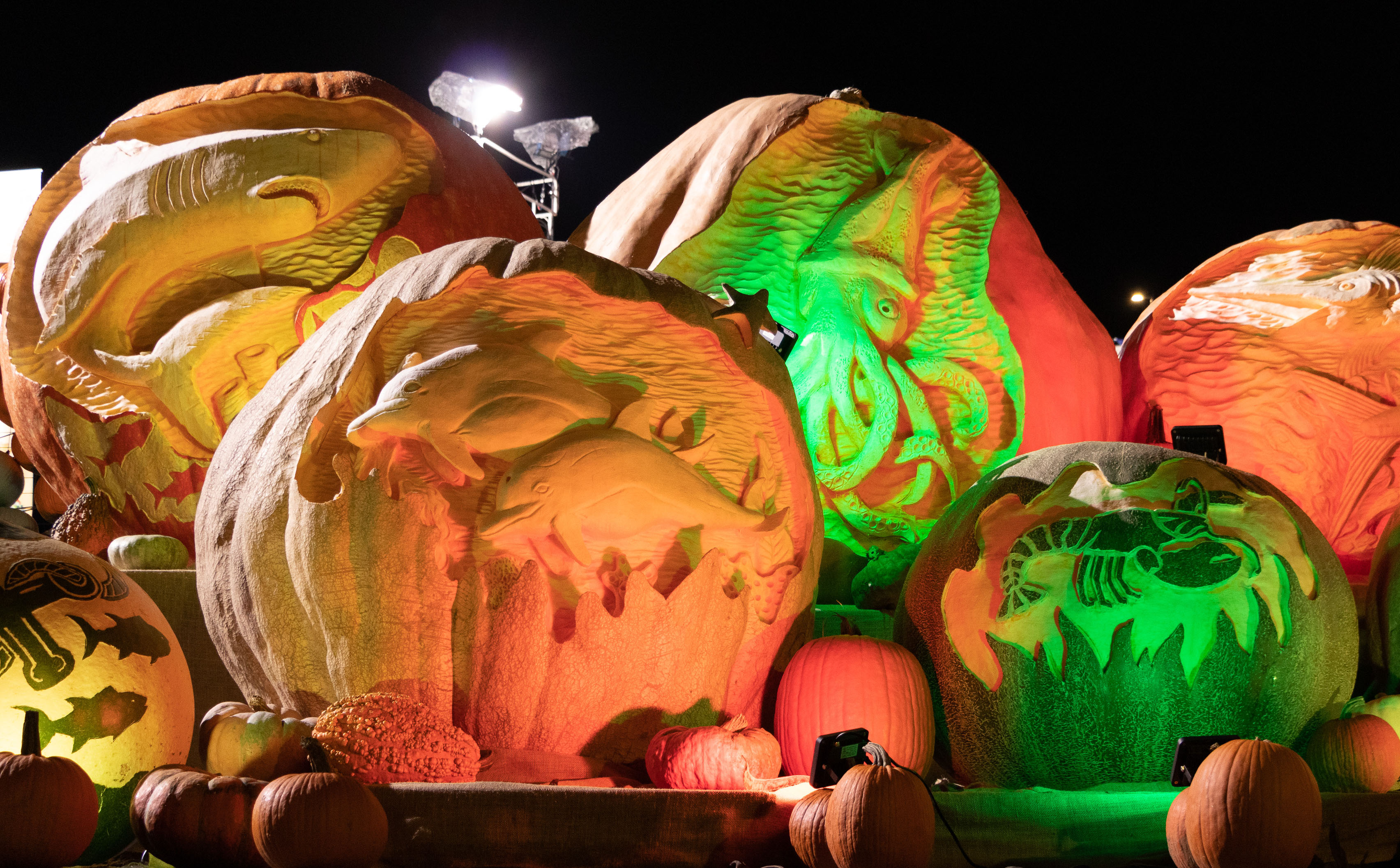 Pumpkins-Lit-7811.jpg?fit=3408