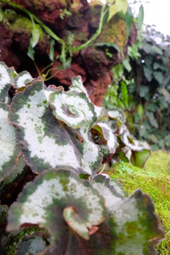 DSCF0349