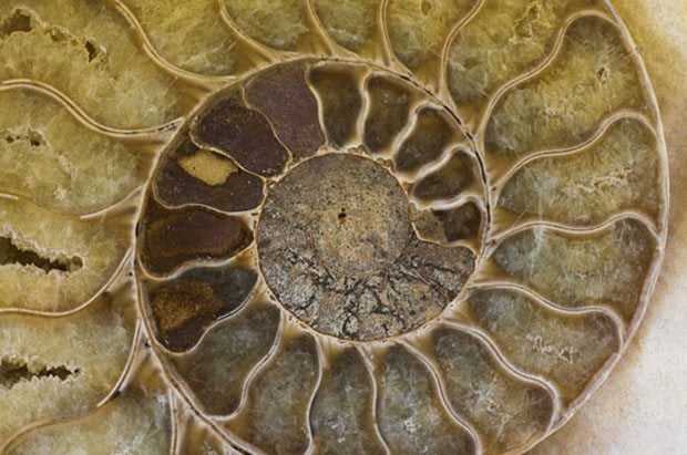 Spectacular Css3 Hover Effect Tutorials Monsterspost - Incredible Abstract Texture - High Resolution