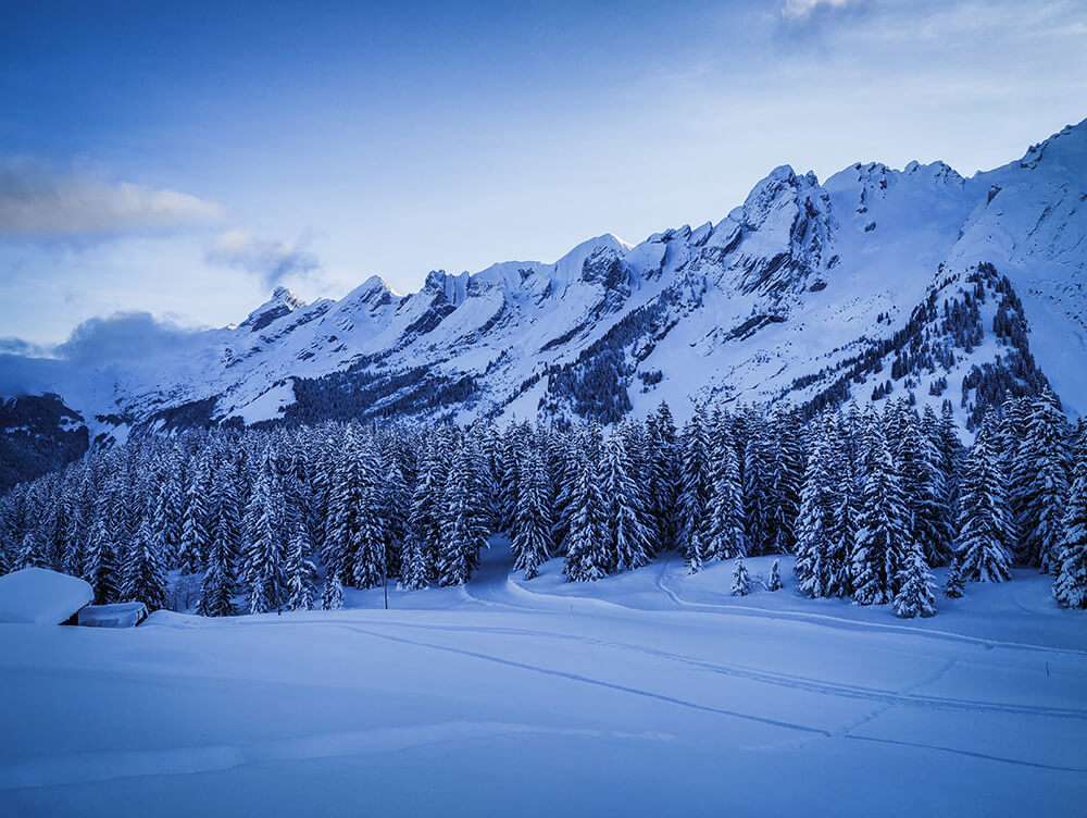 vue sur les Aravis