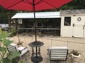 chicken coop proof predator fox ways looking