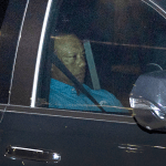 Tiger Woods DUI Arrest