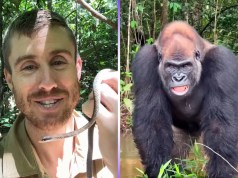 Why Ash Dykes Had to Rethink His Route Into the Congo Basin Why Ash Dykes Had to Rethink His Route Into the Congo Basin