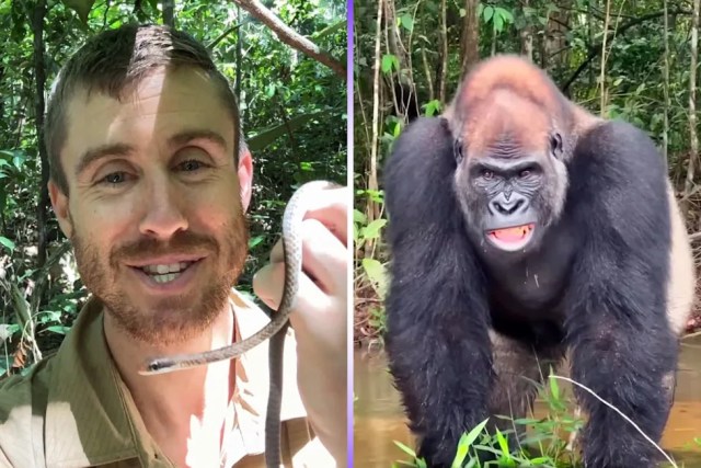 Why Ash Dykes Had to Rethink His Route Into the Congo Basin