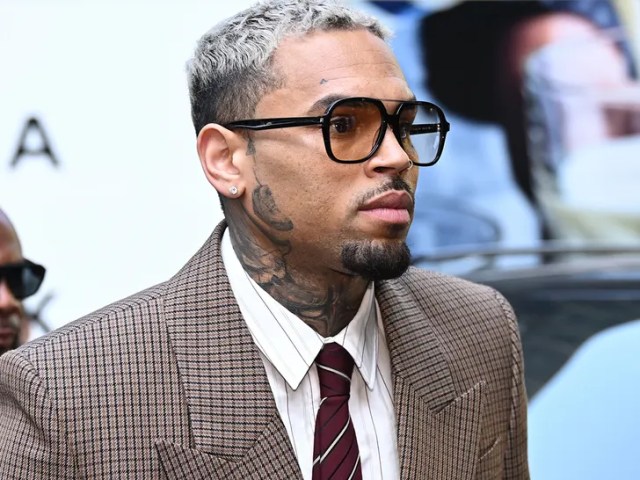 Chris Brown's Former Housekeeper Seeks Arrest Warrant Over $9 Million Dog Bite Judgment
