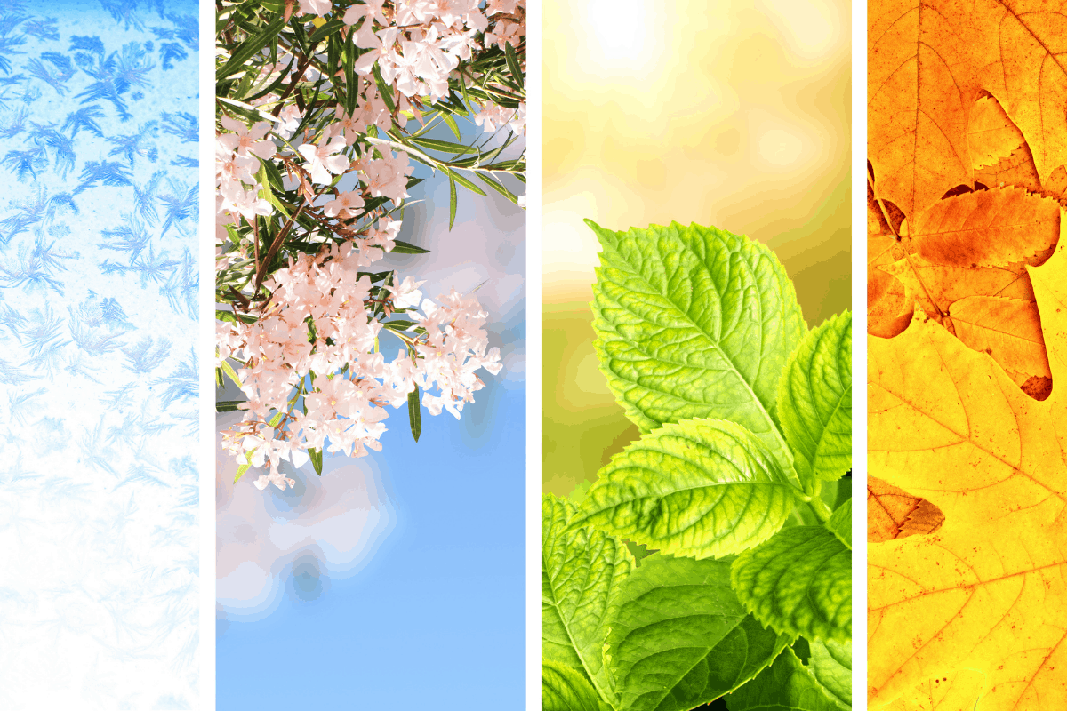 Principles of the Monthly Method