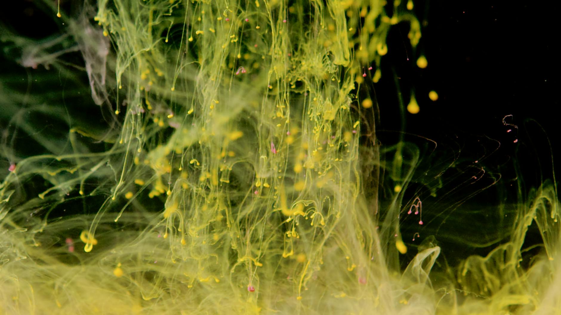 splatters of yellow and pink liquid