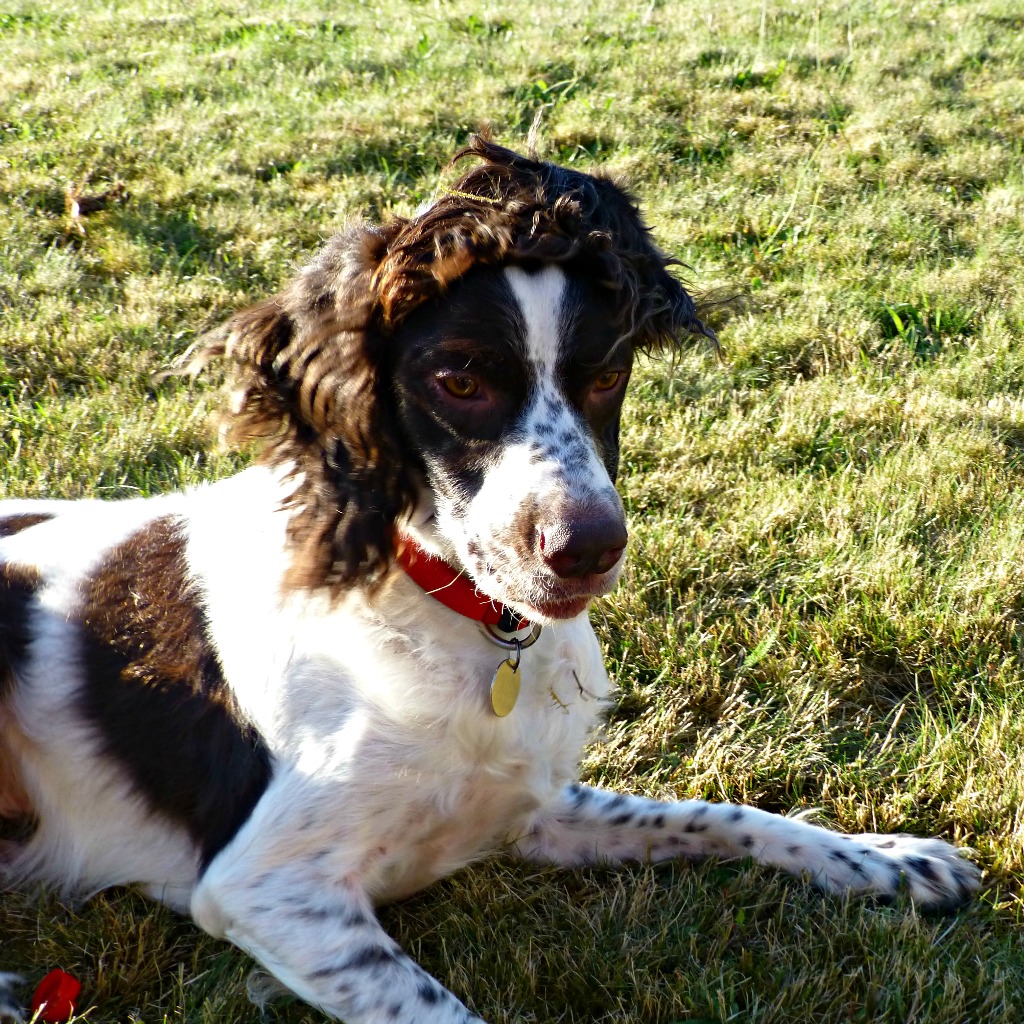 Gatsby dans tous ses états 30