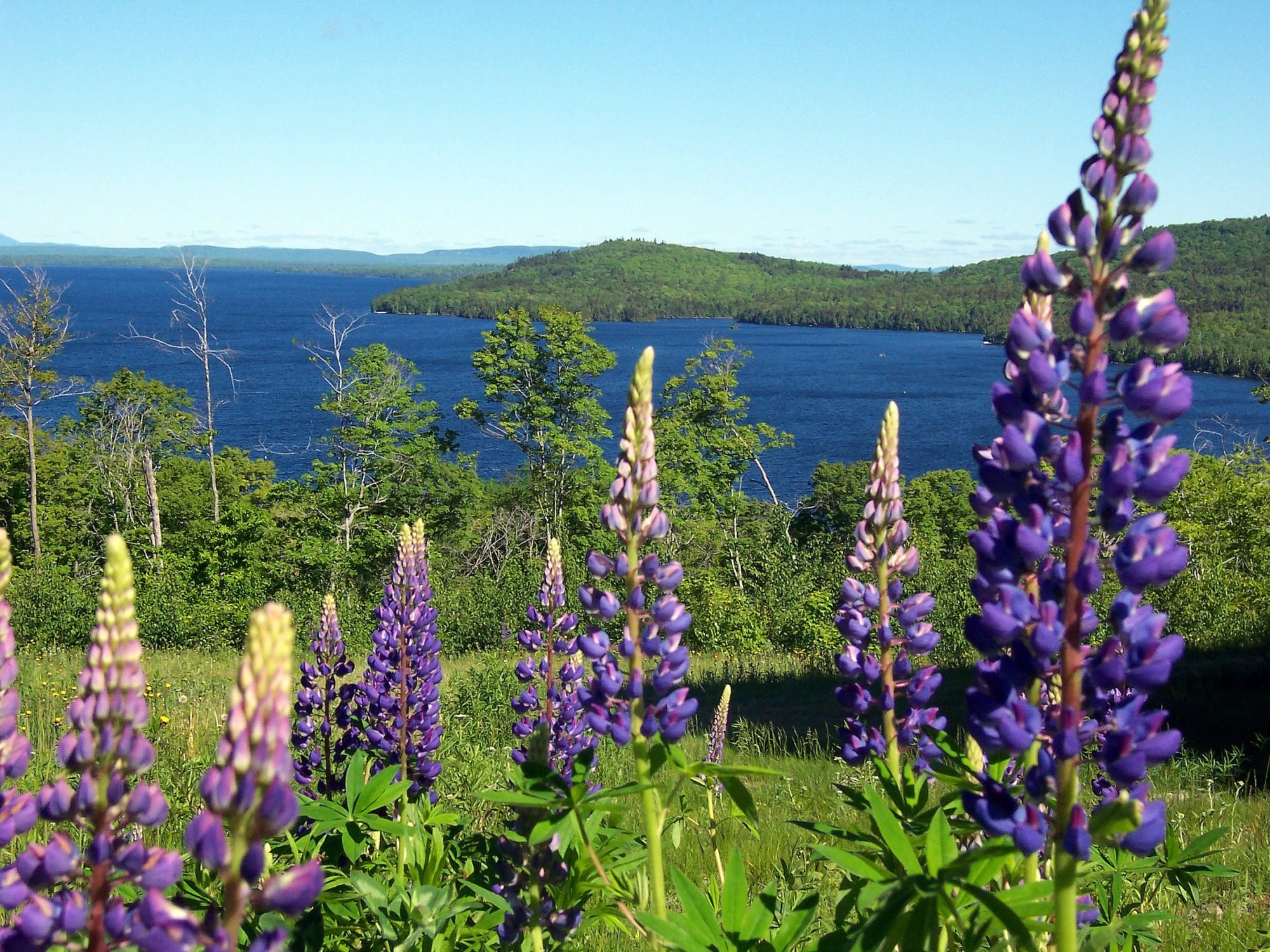 1 review of moosehead hills cabins can not say enough amazing things about moosehead hills cabins, we stayed labor day weekend at the loon . Moosehead Hills Cabins - Rustic Luxury Log Cabin Rentals
