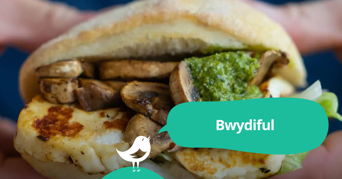 Scotland vs israel live stream: Bwydiful: 50% off the first table of the night with First