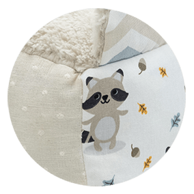 Mapache