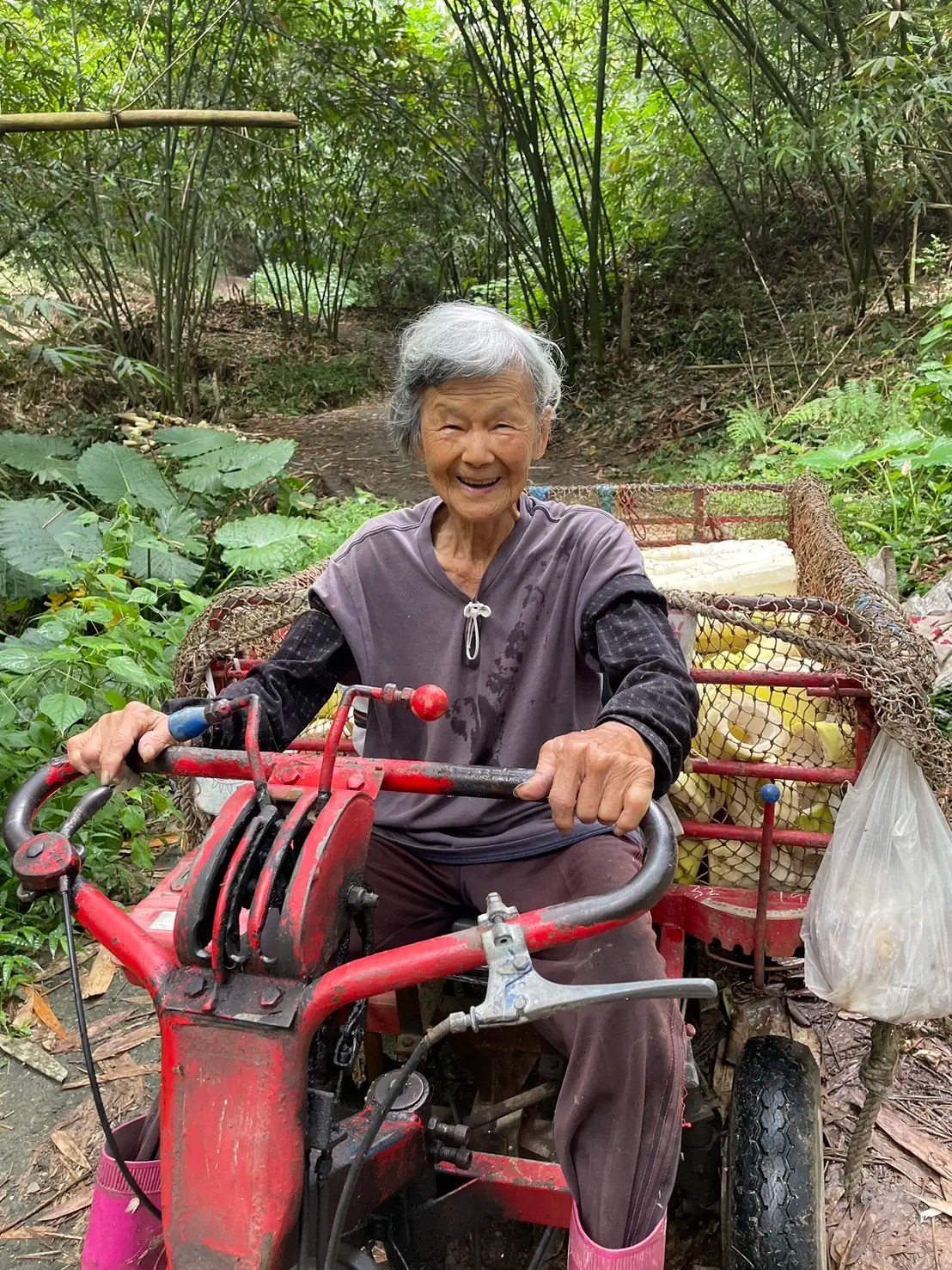 全村最年長筍農！雲林91歲曾阿嬤的「超狂」日常：凌晨開搬運車上山採筍