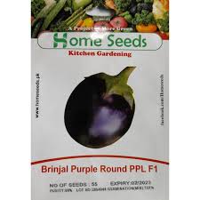 Seeds- Brinjal Round Purple PPL F1 Hybrid