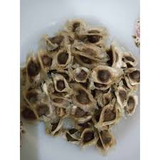 Pack of 10 Moringa Seeds Sohanjna Tree Seeds Plant Flower