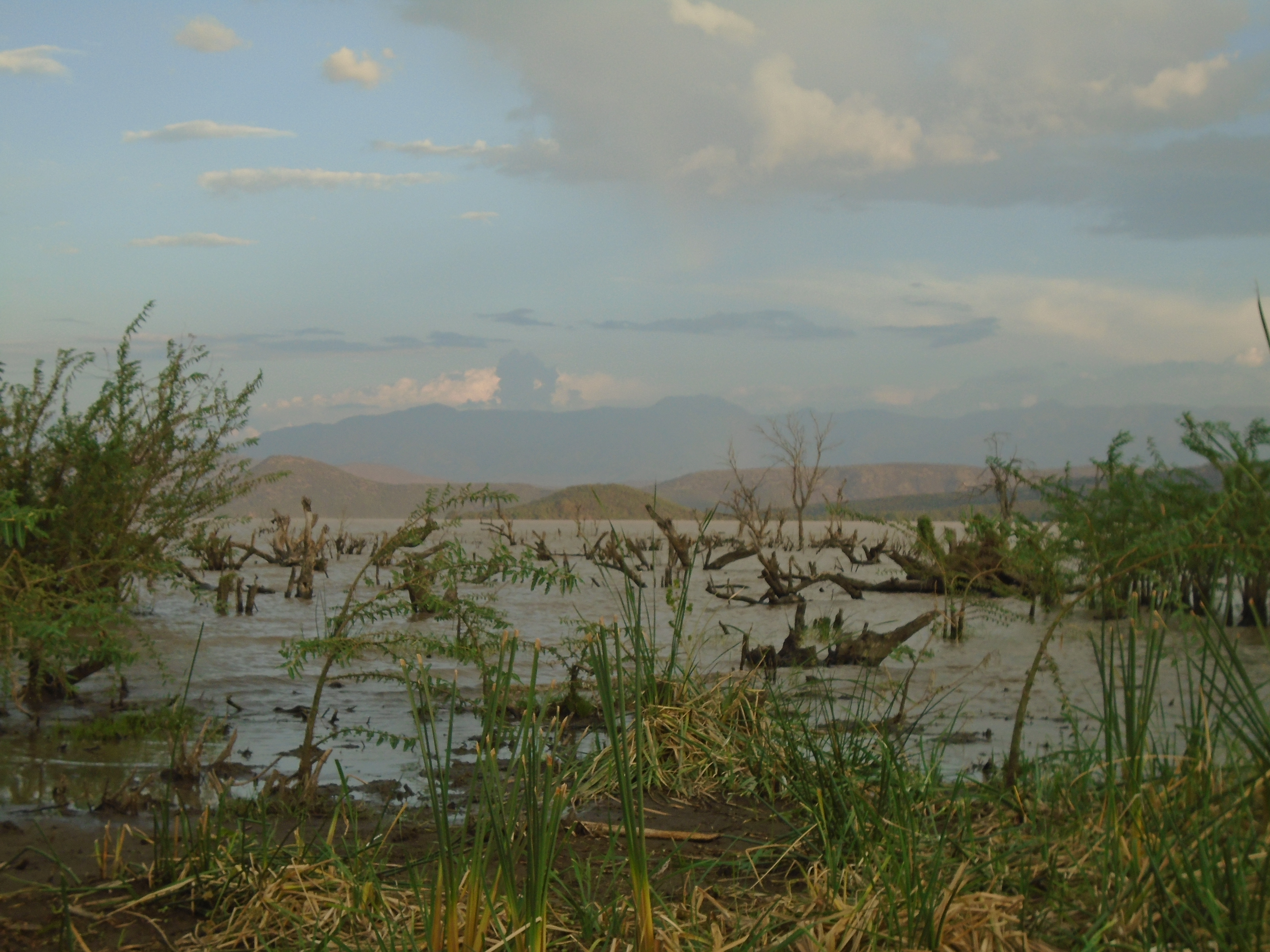 DSC05201