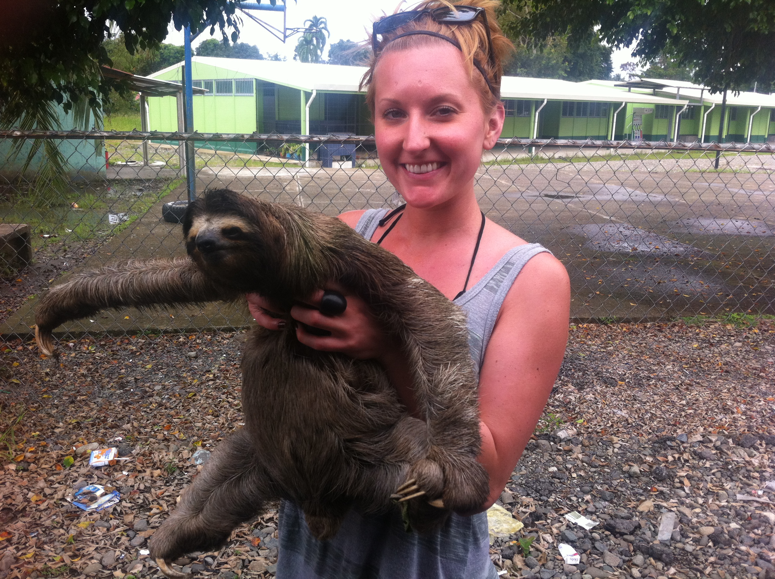 'Sloth Rape' (it's a joke, look it up) in Costa Rica