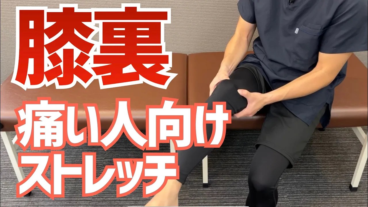 膝裏の痛みの原因とストレッチ改善方法 | 京都 北区 上京区 肩こり 腰痛 整体 外反母趾 野球肩｜整体ならもり鍼灸整骨院