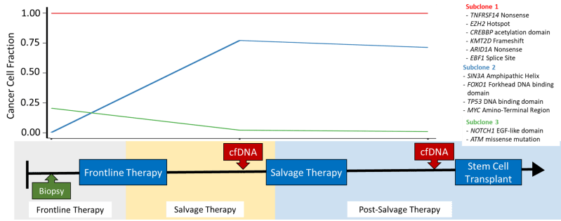 Github Stanfordmlgroup Dlbcl Morph Dlbcl Morph Dataset Containing - Download Classic City Design | Desktop