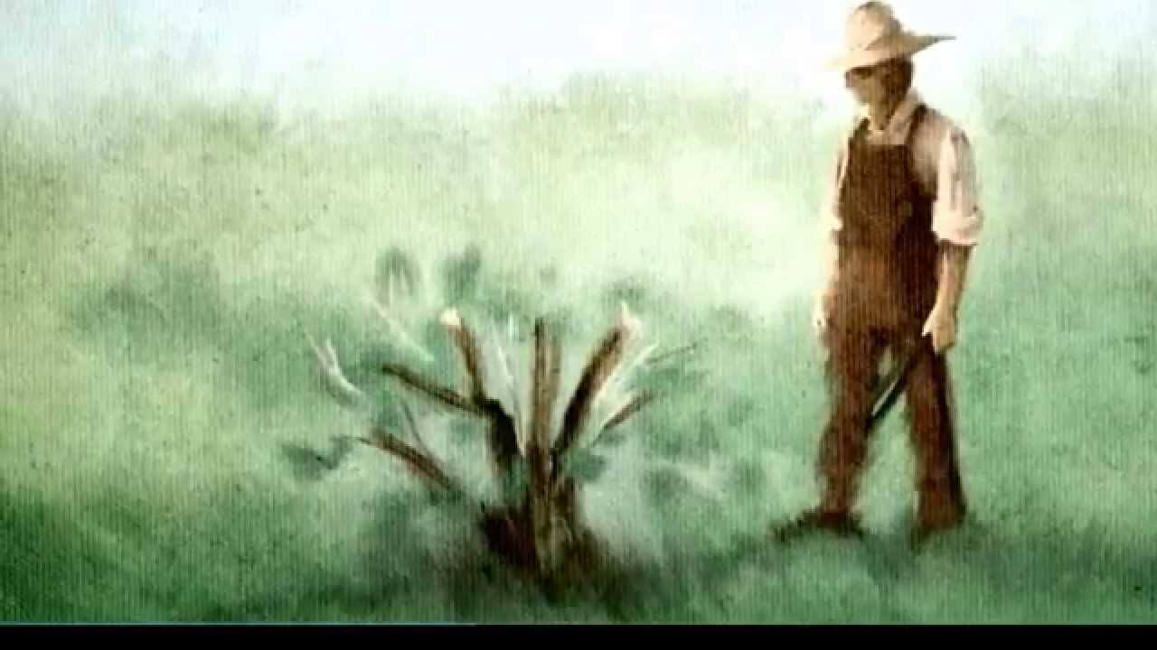 Hugh B Brown gave this talk at BYU graduation in 1968. This is Elder Brown's original talk with images from the Mormon message where Elder Christofferson retells the story.